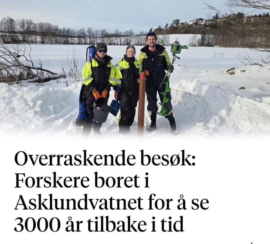 Nichola Strandberg tweet media