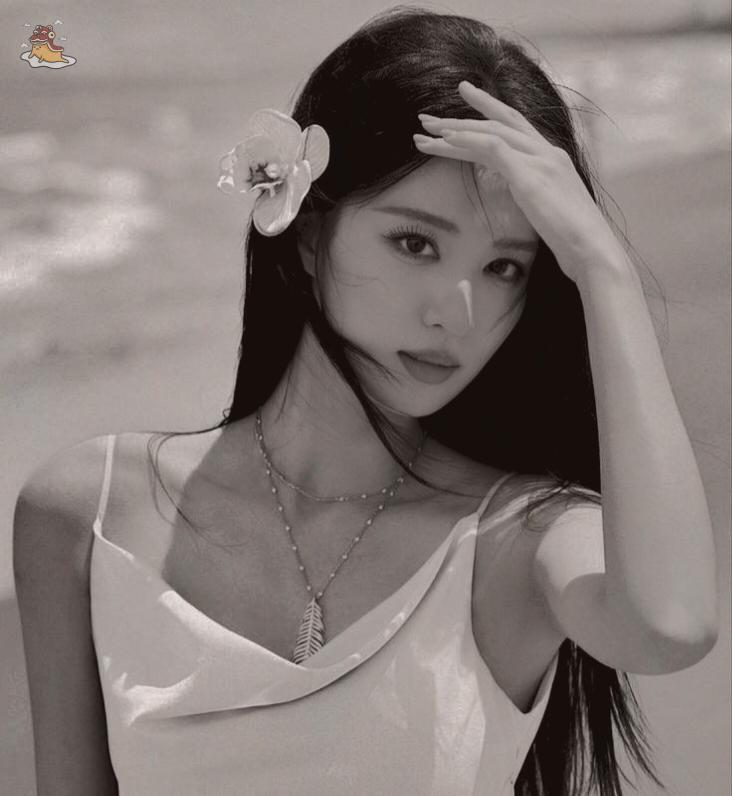 SOC-IE 💛 ˚☽˚.⋆ tweet media