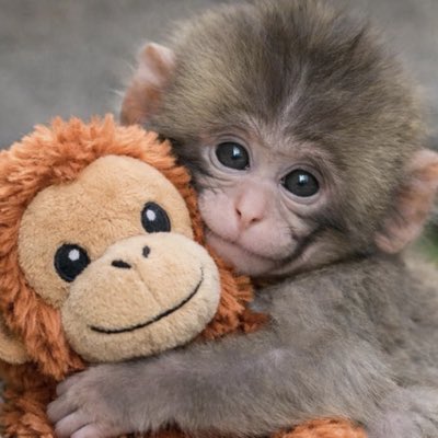 (Dreamer) tweet media