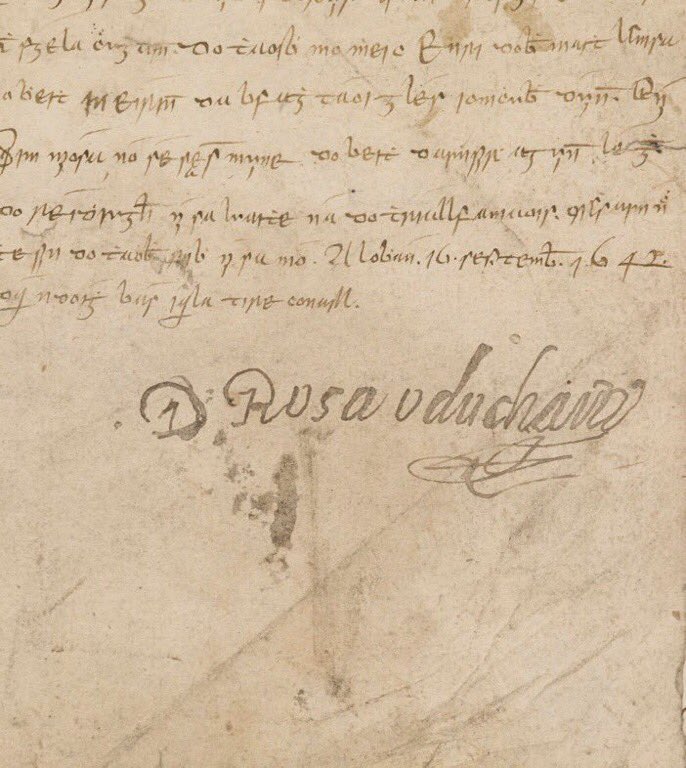 John McCafferty tweet media