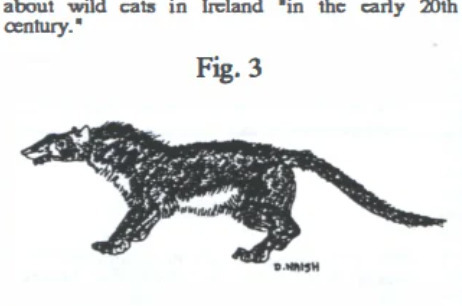 Cryptid Quest tweet media