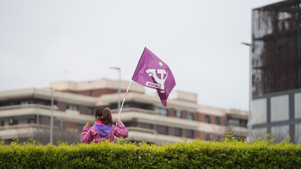 CORDÓPOLIS tweet media