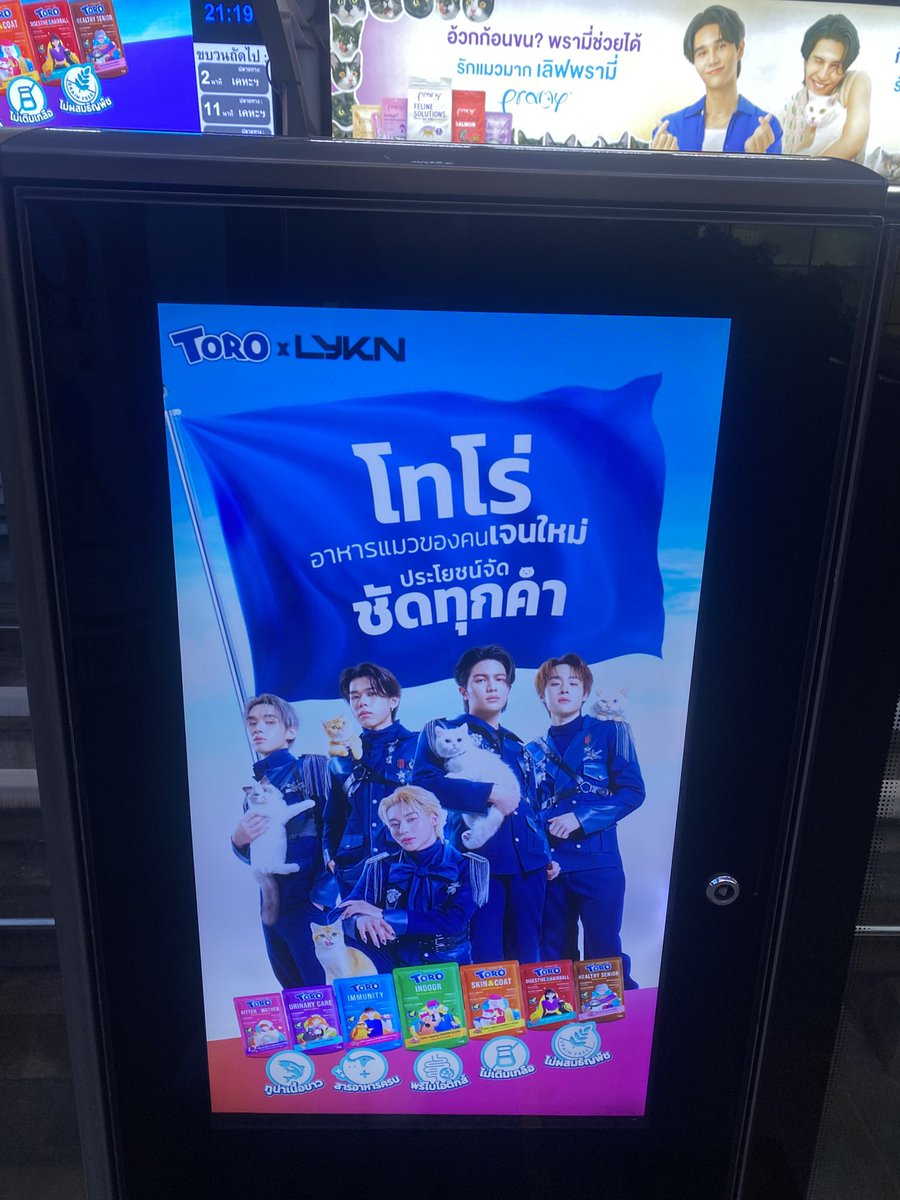 เพื่อน้องเหมียวพุงินแค่หนึ่งเดียว tweet media