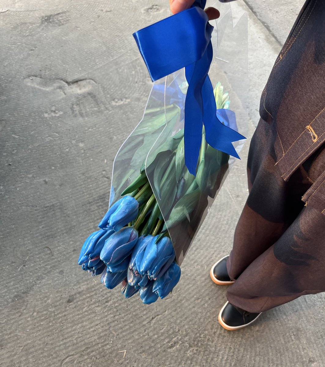 thebakhtiyorov tweet media