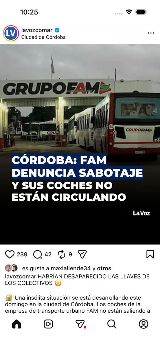 Elisa Caffaratti tweet media