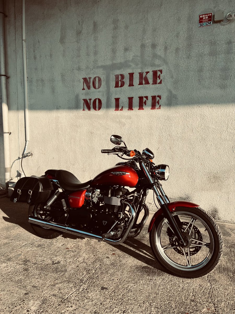 金子智明(映像監督/D金子) tweet media