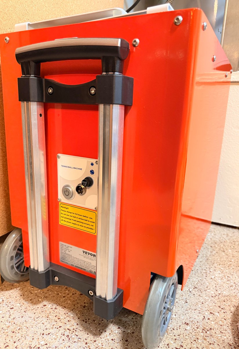 Dina Tennis tweet media