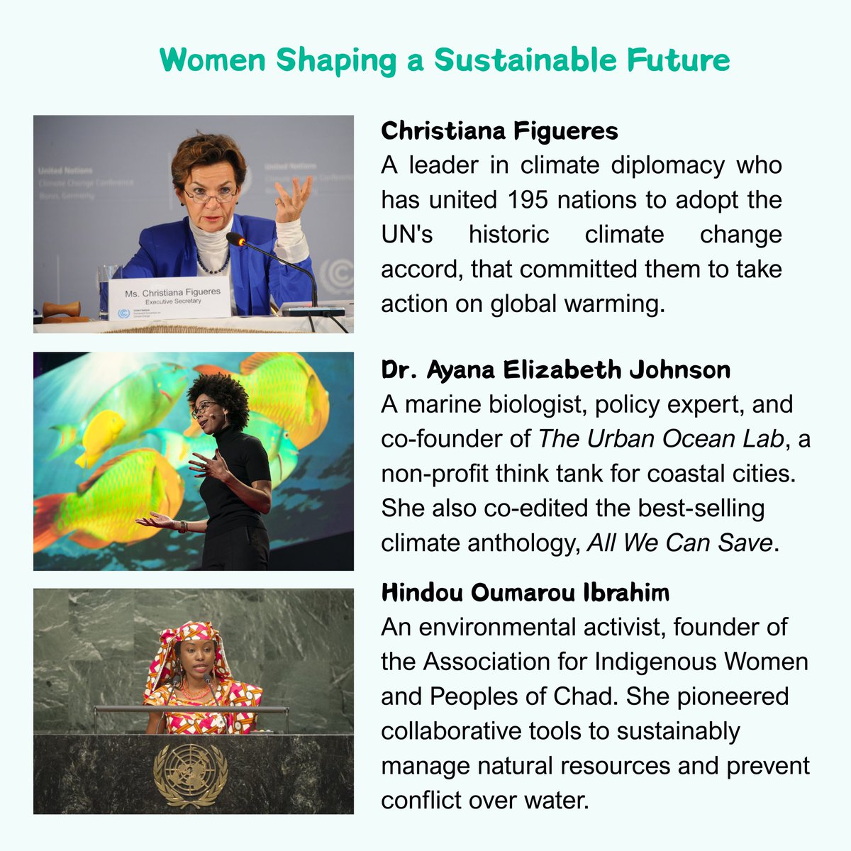 CamScanner tweet media