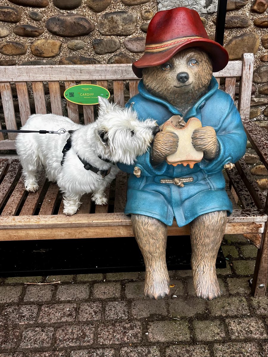 Nigel Williams tweet media