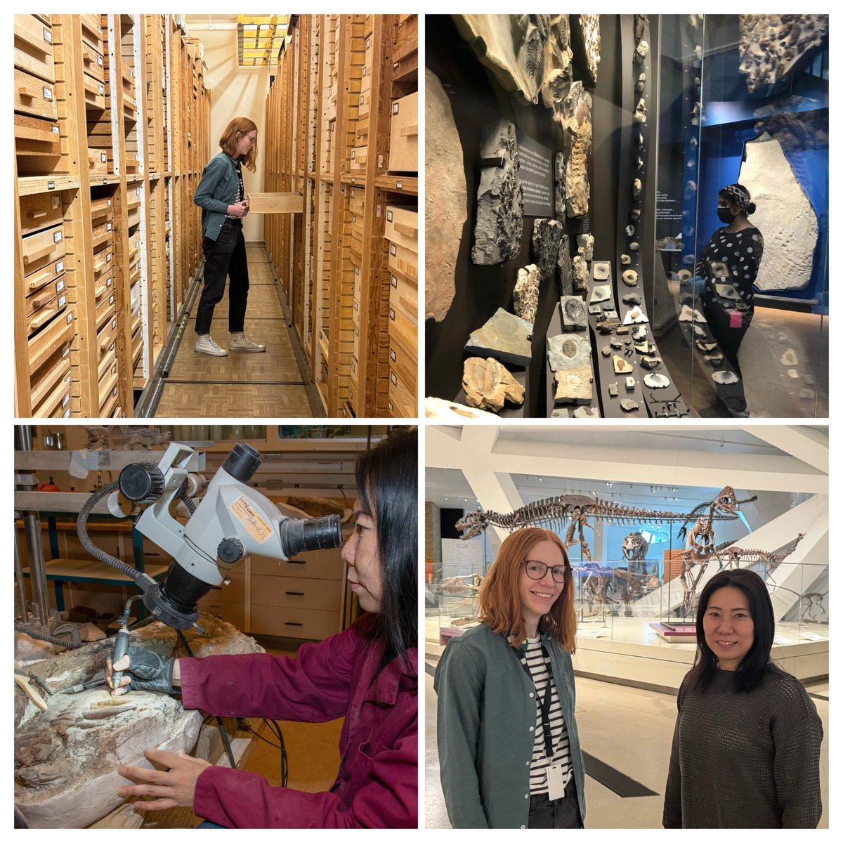 🦴Shino Sugimoto 🦴 tweet media