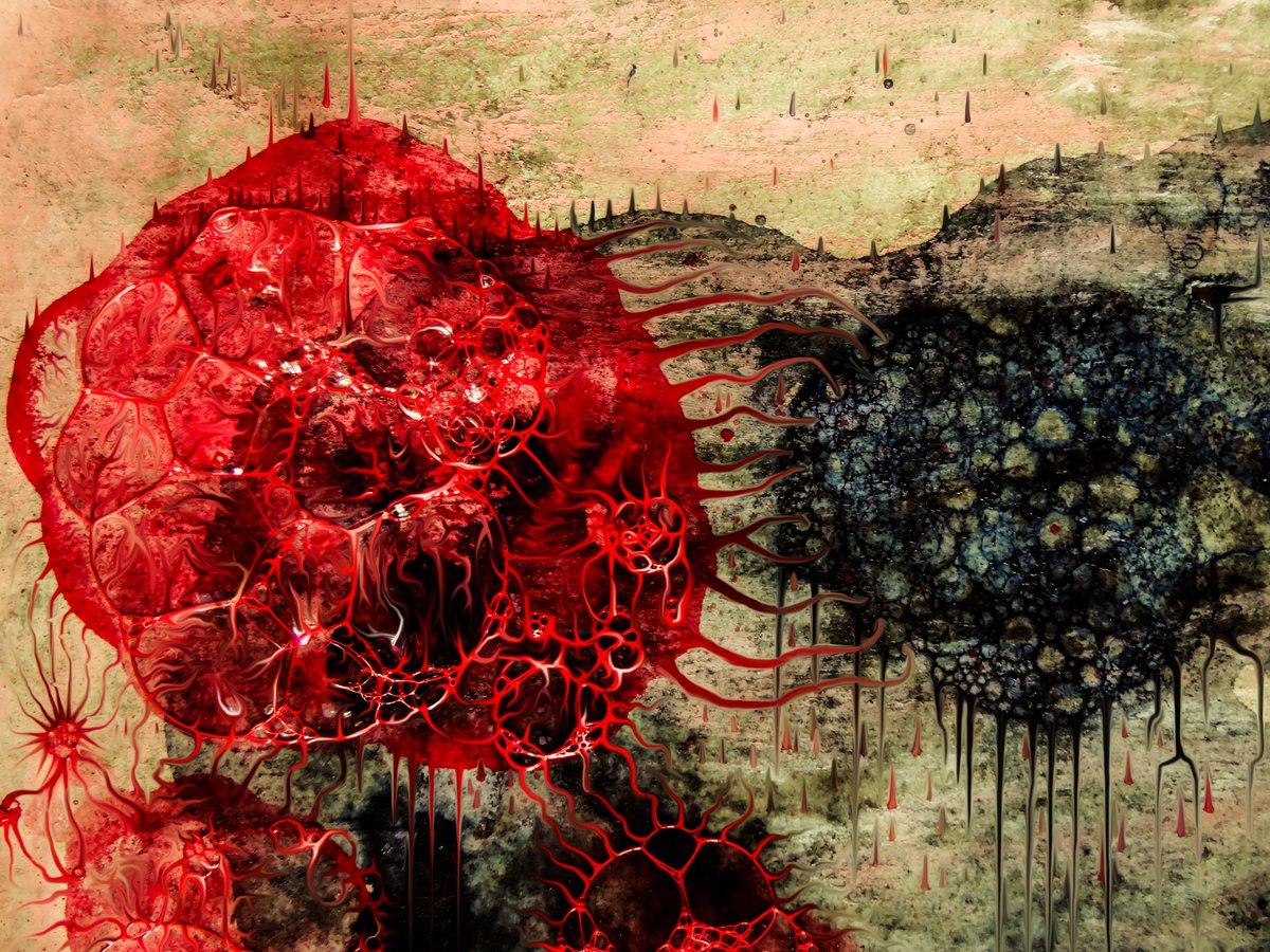 Grebo Gray tweet media