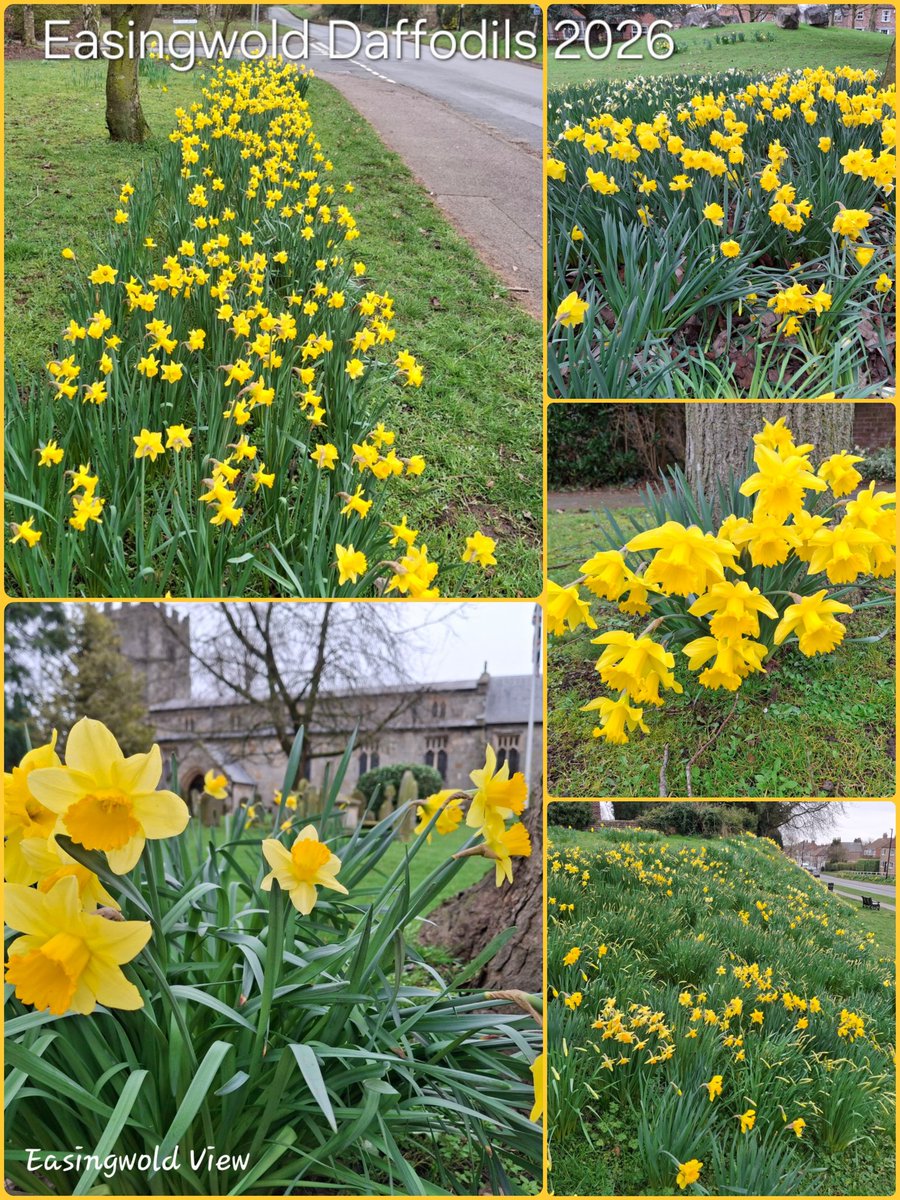 Easingwold View tweet media