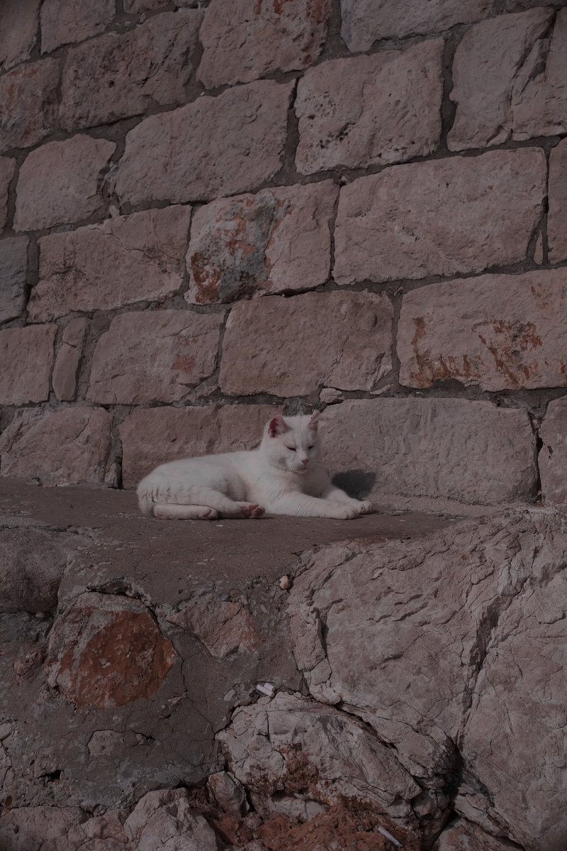 Lottie Louise 🥀 tweet media