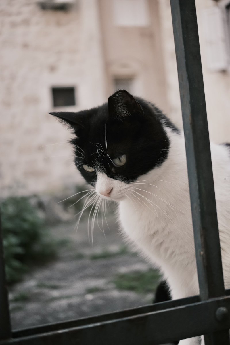 Lottie Louise 🥀 tweet media