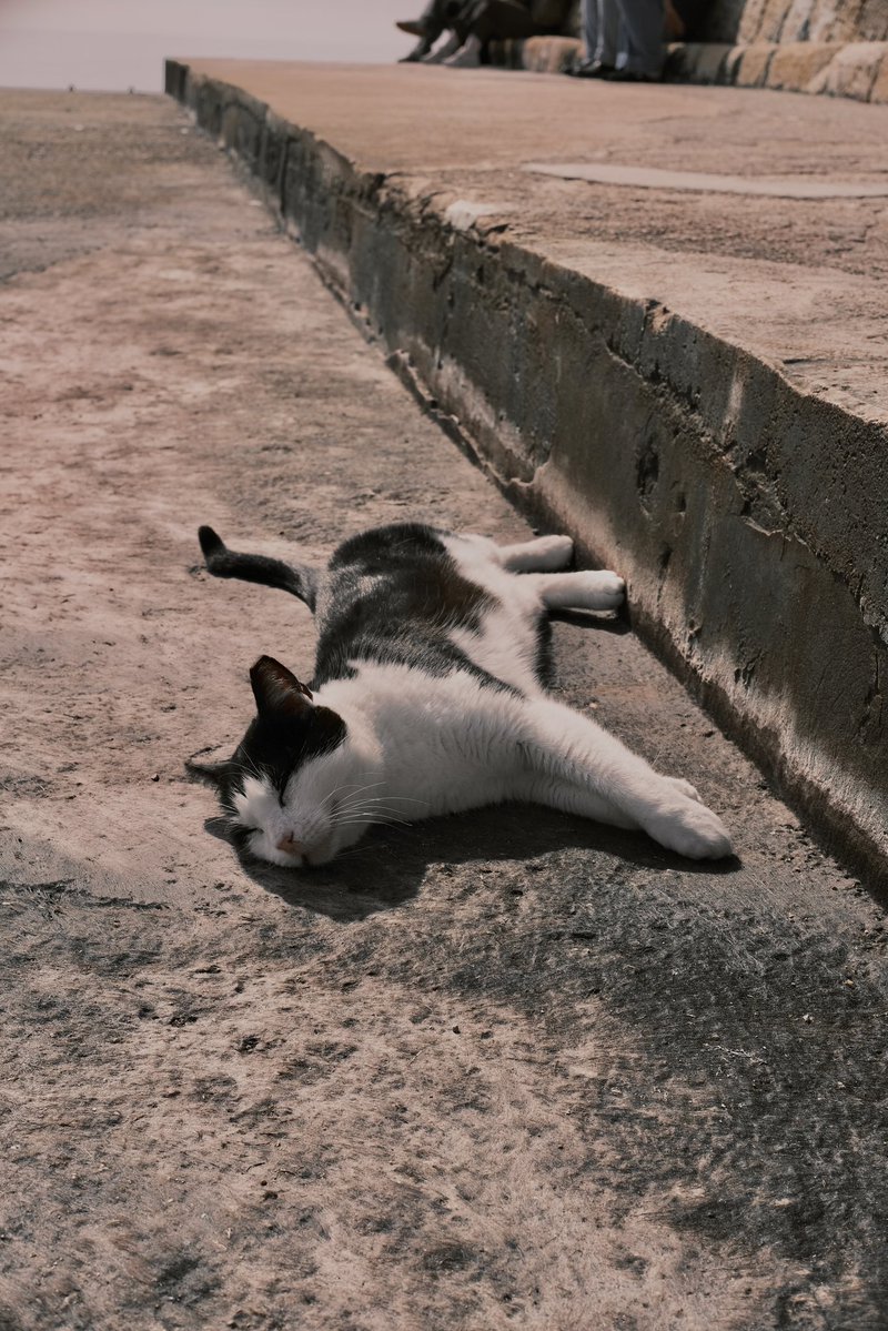 Lottie Louise 🥀 tweet media