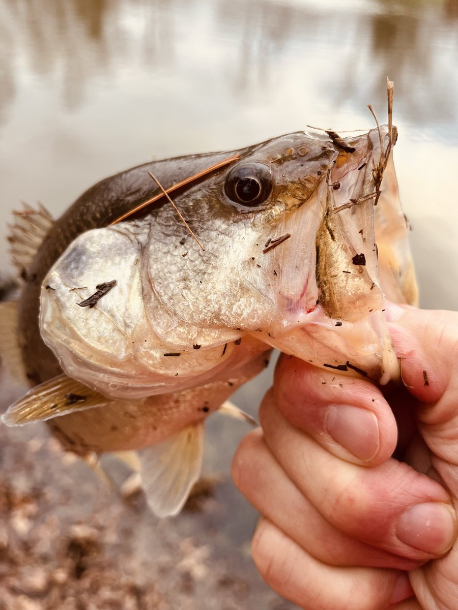 Mark Slaughter tweet media