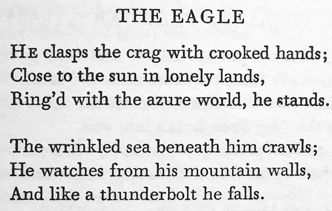 Democritus Sr tweet media