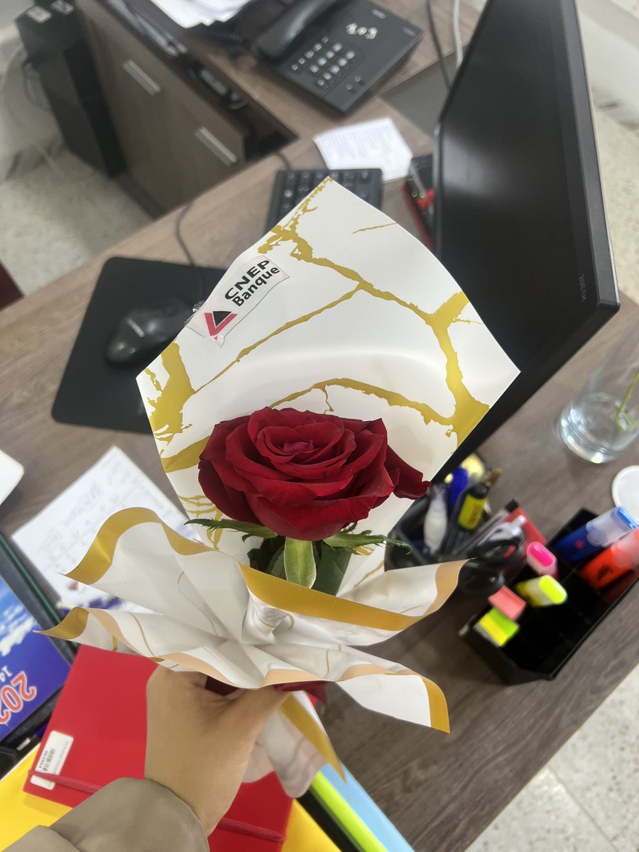 23Raoue's tweet photo. Une petite attention aujourd'hui qui m'a fait vraiment plaisir
Une rose pour rappeler que chaque femme mérite d'être célébrée aujourd'hui.. et
tous les jours. Bonne fête https://t.co/eFedBGtB7p