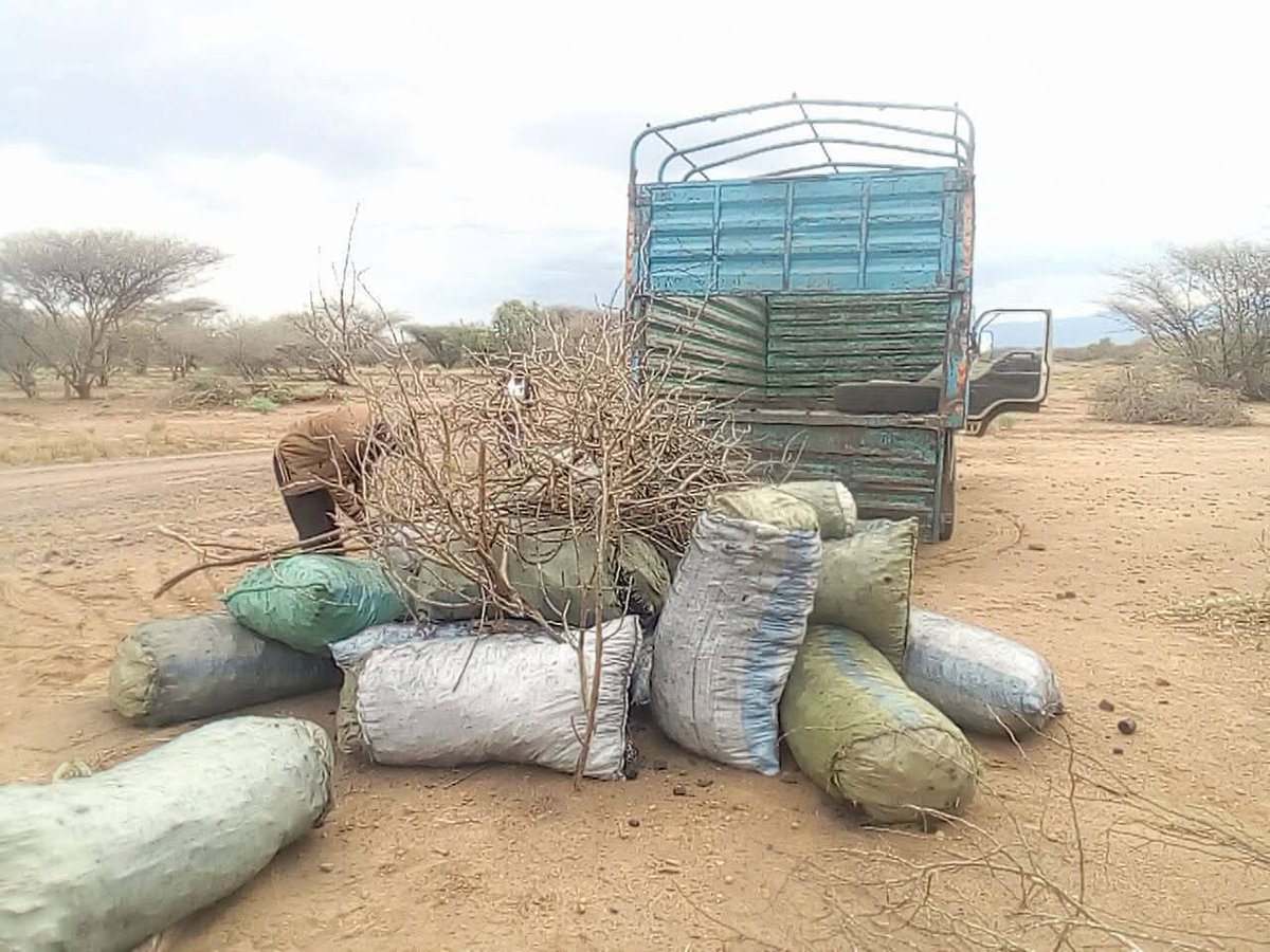 JD Orengo Mtetezi tweet media