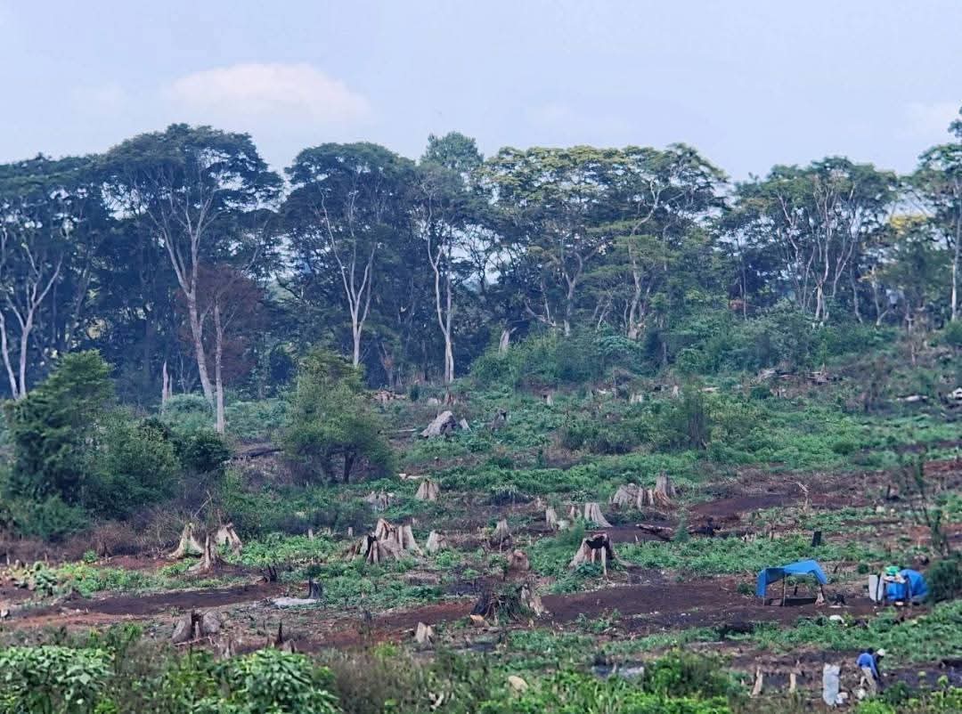 JD Orengo Mtetezi tweet media