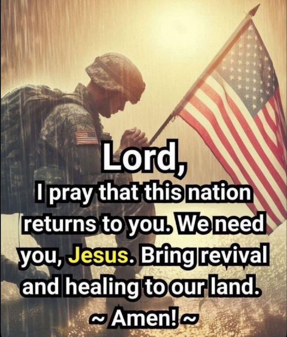 alowishus tweet media