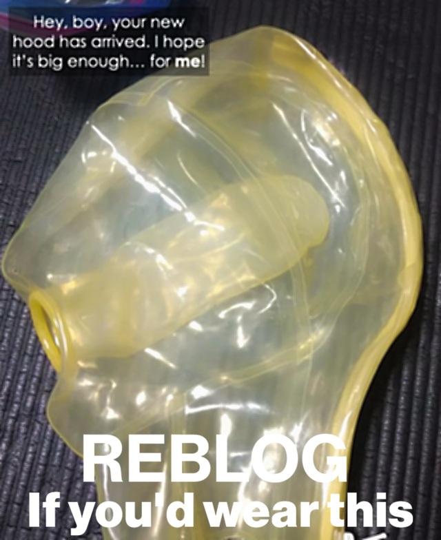 Gay Sub University🍆 tweet media