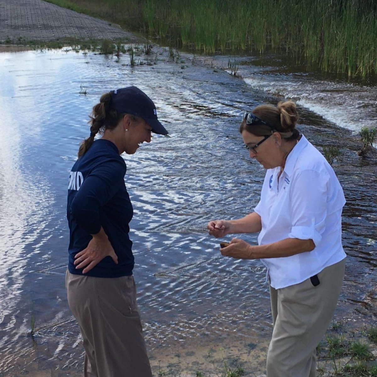 South Florida Water Management District tweet media