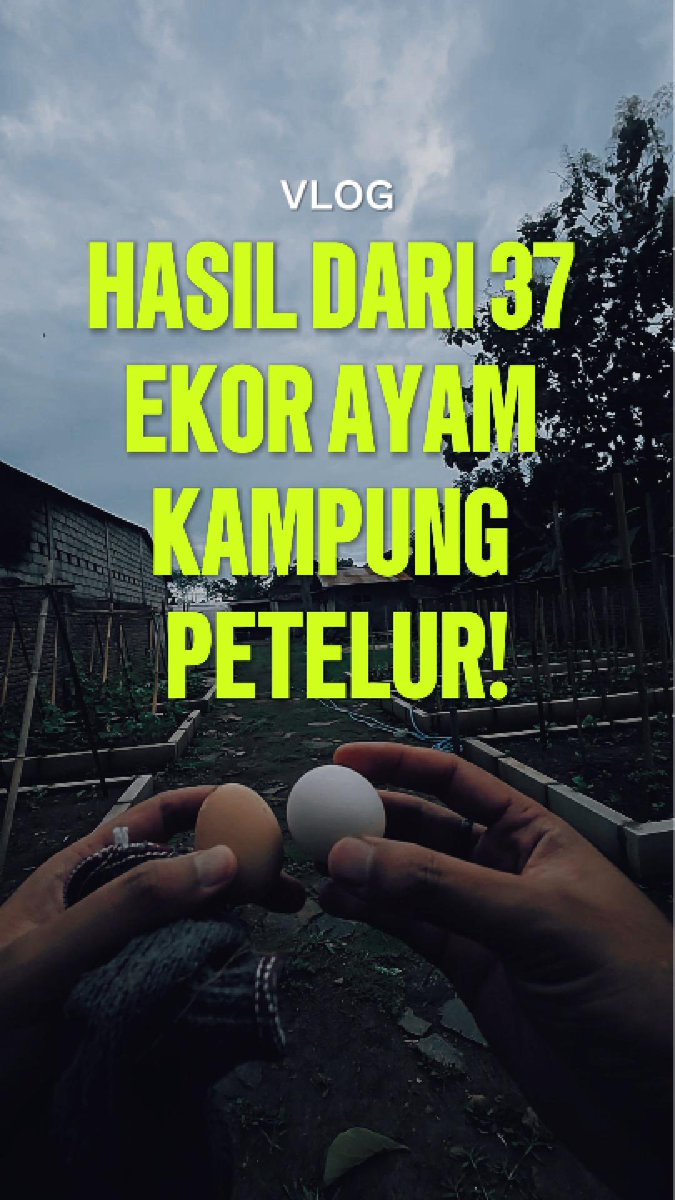 ARIF tweet media