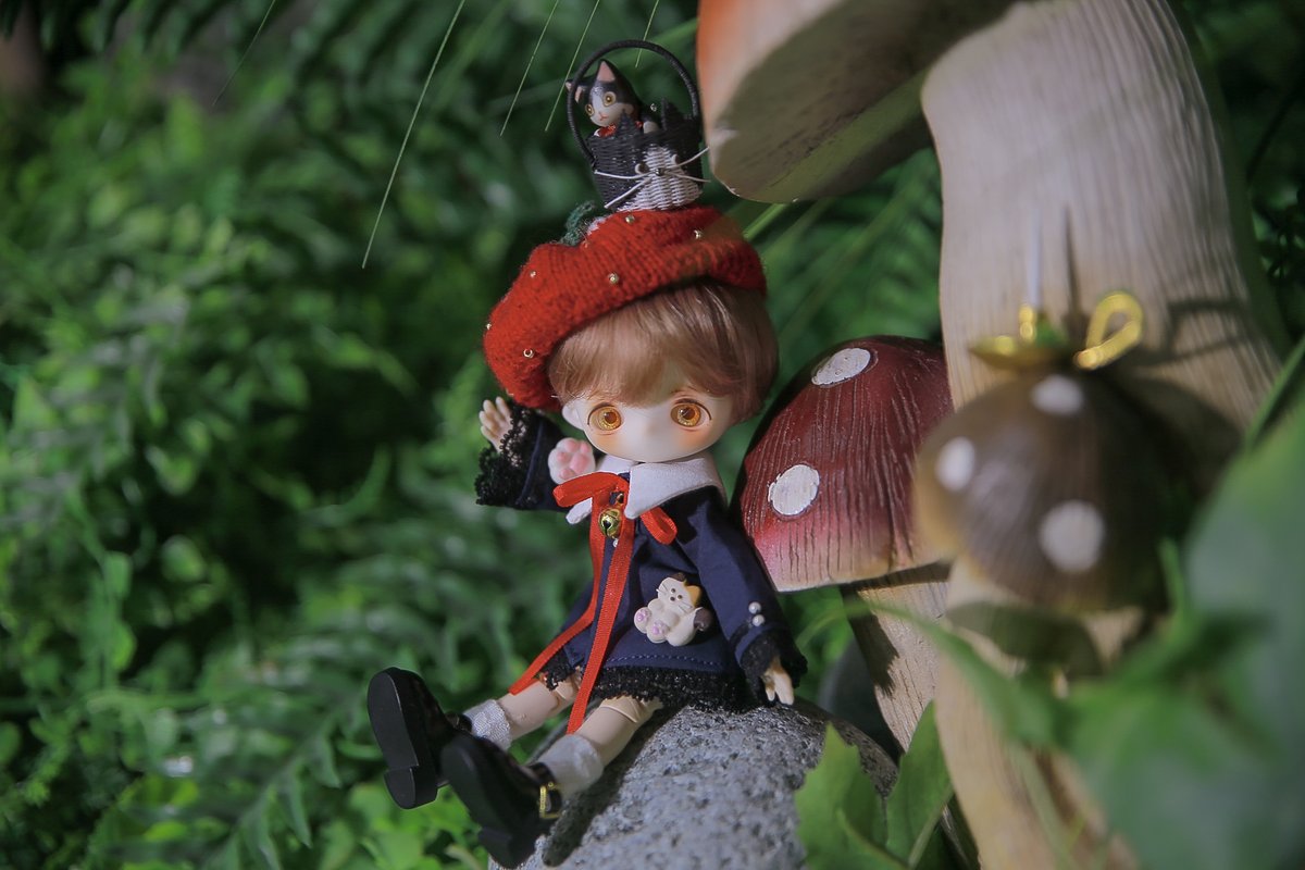 오랜만에 출사...!! 
조명 잘쓰는법 배우고싶다...🙃
#내손안의작은친구