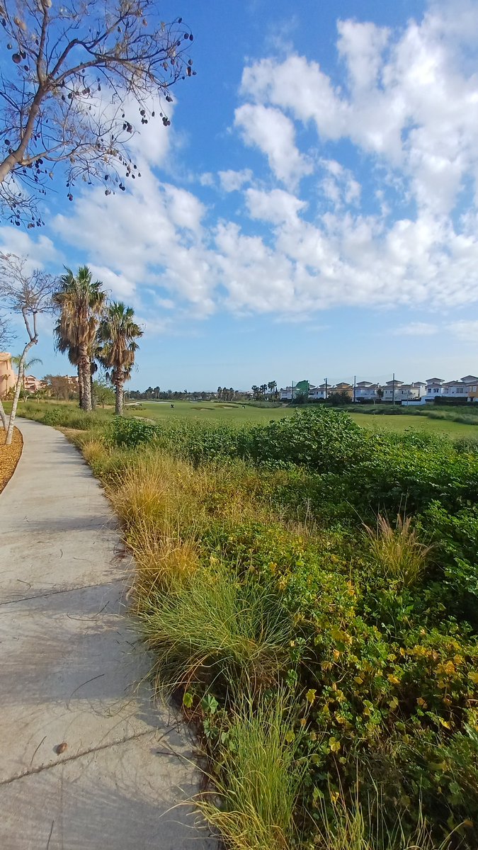 Sara Sutton tweet media