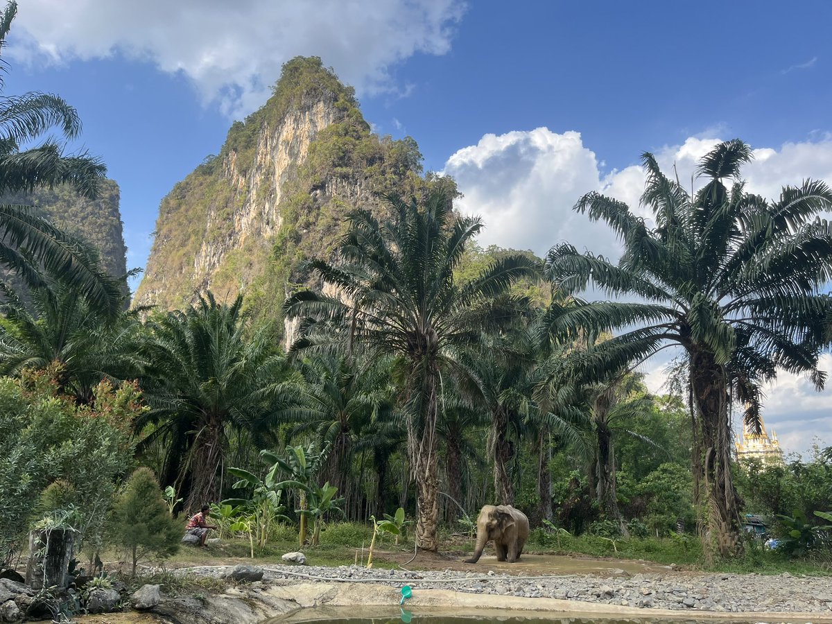 Prof Michele Geraci, fmr Undersecretary of State tweet media