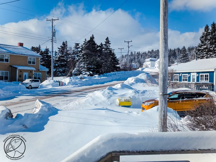 Town of Elliston tweet media