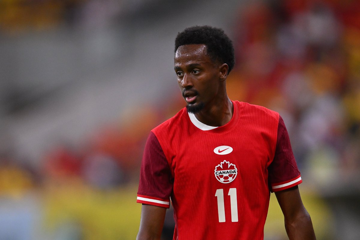 Bob Williams tweet media