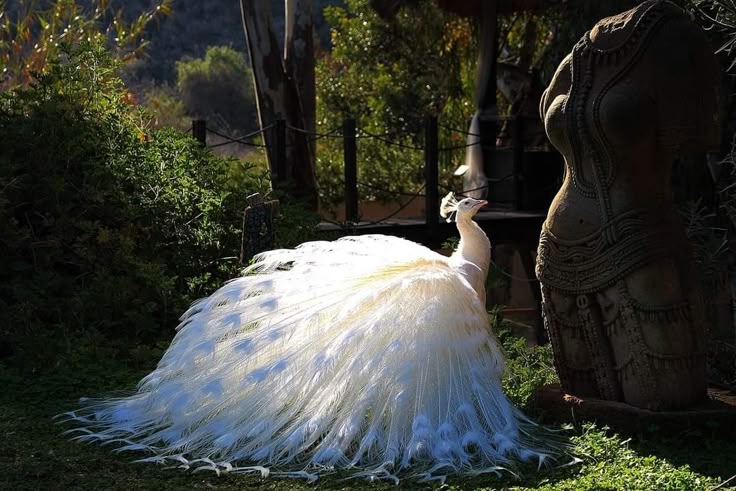 Imagine this as a dress