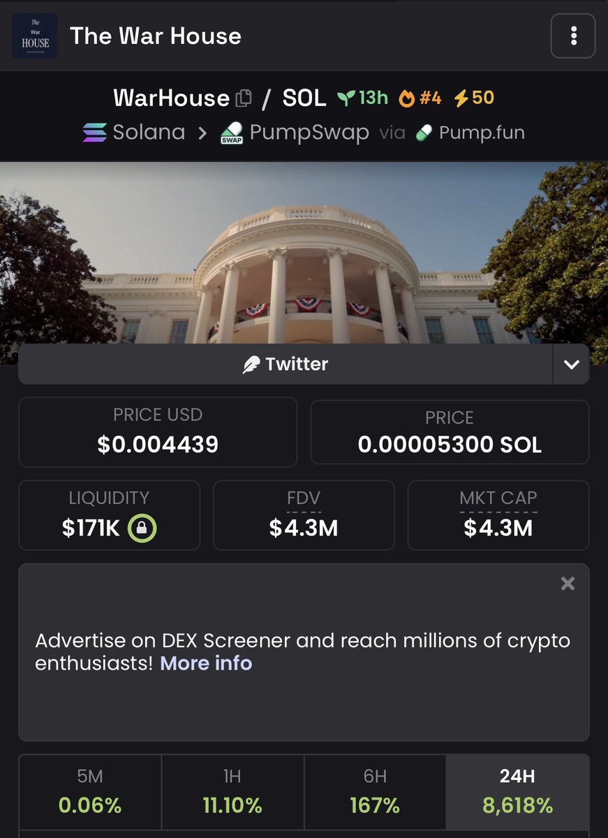 Echo 🗿 tweet media