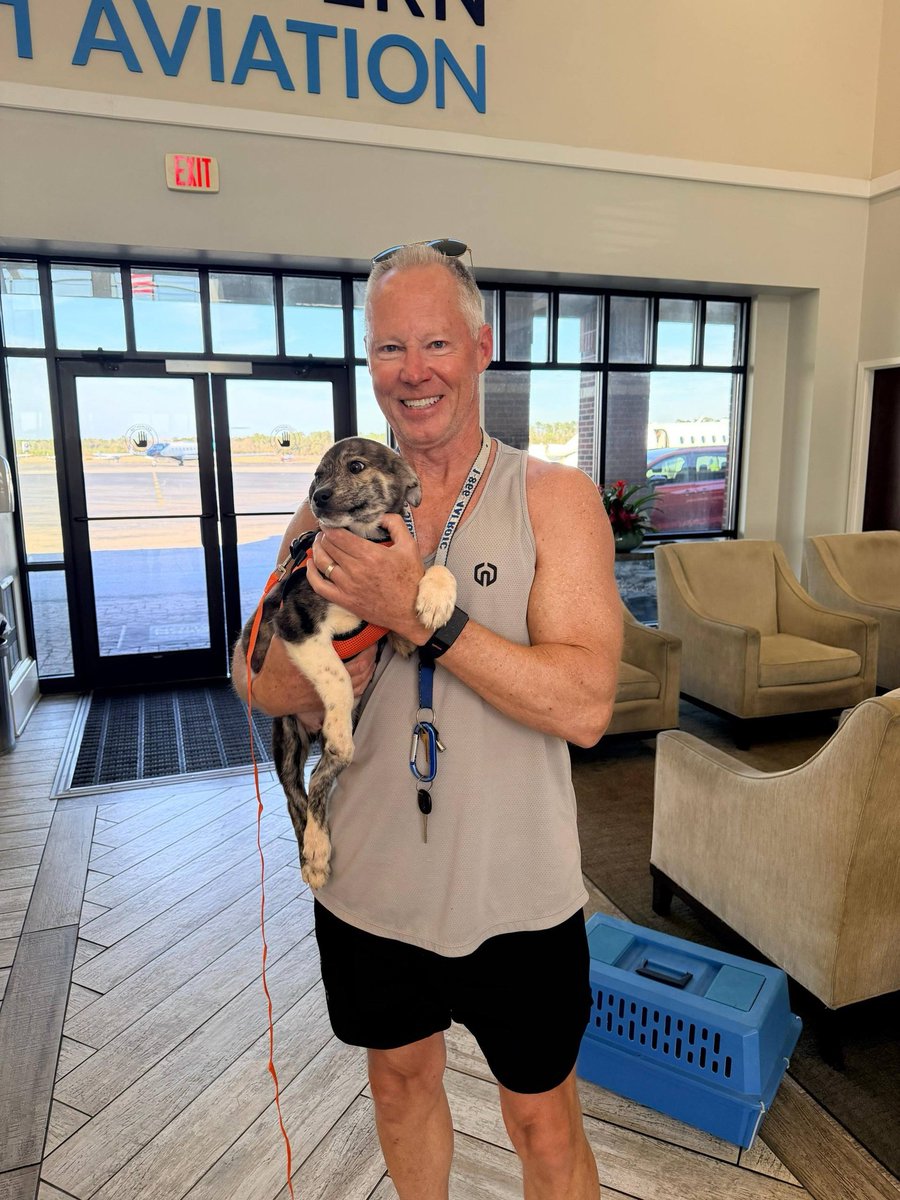 Pilots N Paws tweet media