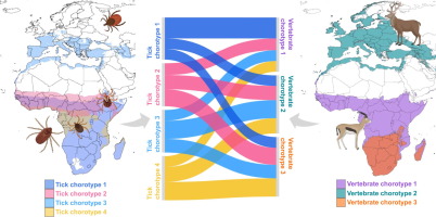 bloodSparasites's tweet image. Climate driven patterns shape clusters of co-occurring #ticks and vertebrates in the Western Palearctic-Tropics dlvr.it/TRMg7z IntJ_Parasitol