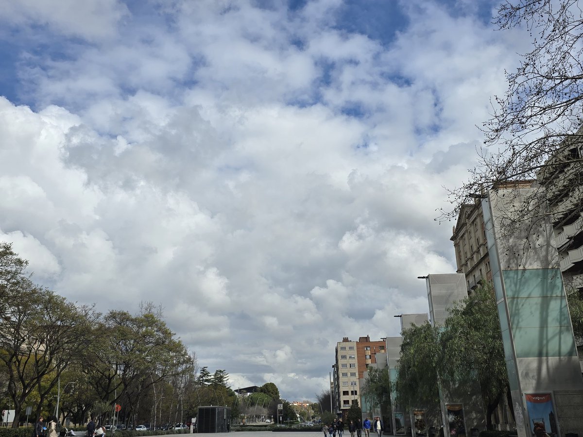 M.Isabel tweet media