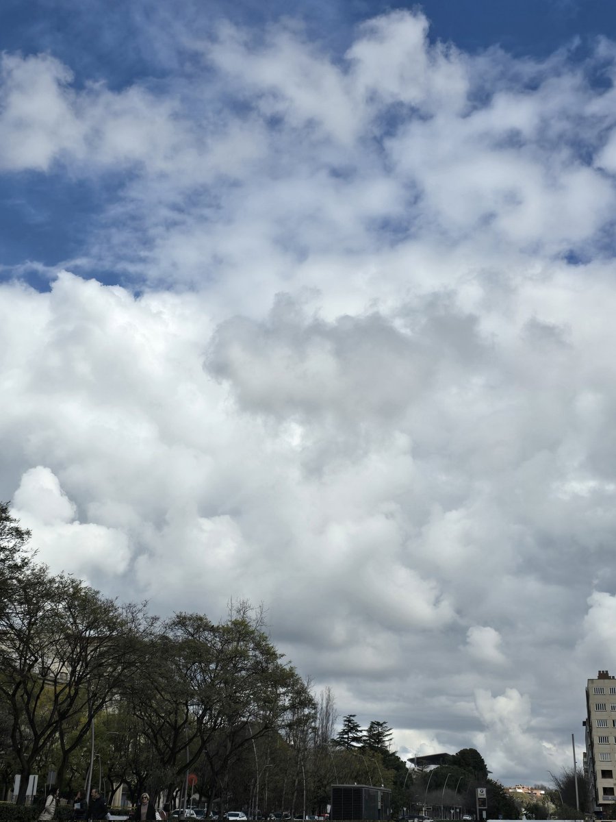 M.Isabel tweet media