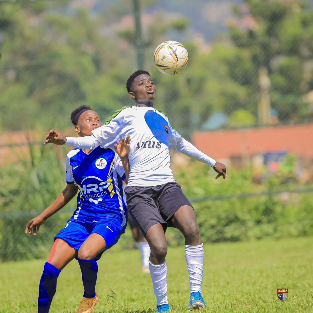 AmusWfc's tweet photo. "5-0 💥 The QUEENS have spoken! 👑💪🏽 Amus College WFC demolishes Asubo Ladies FC! Big thanks to our fans for the love! 🙌 #AmusWFC #FUFAWL" https://t.co/99O83KgEZE