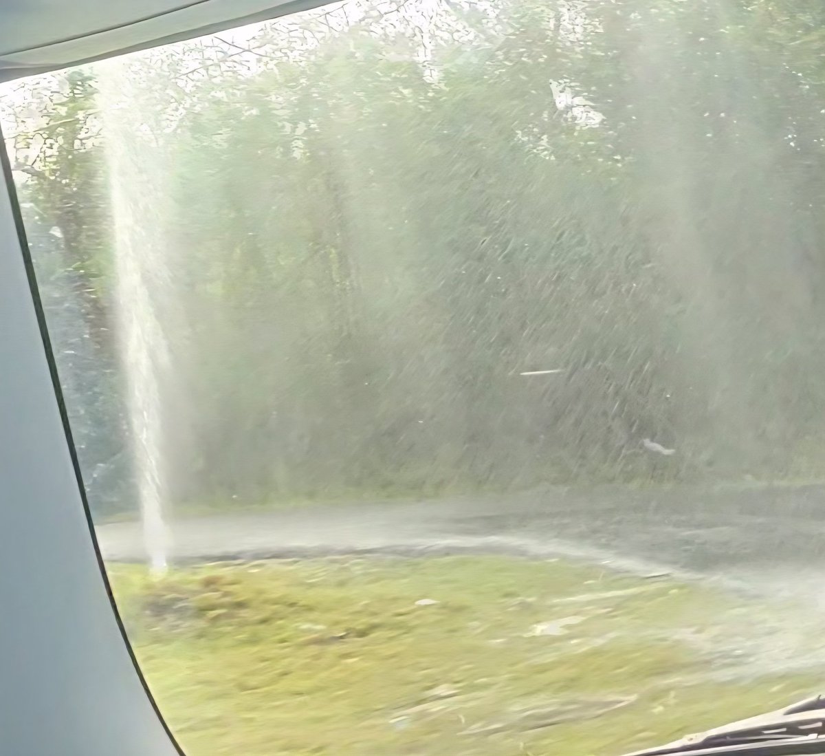 Noticias Salinas tweet media