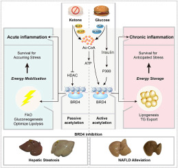 Jun Qi Lab tweet media