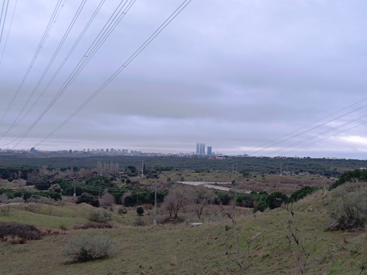 ... Manu ... 守破離 ... tweet media