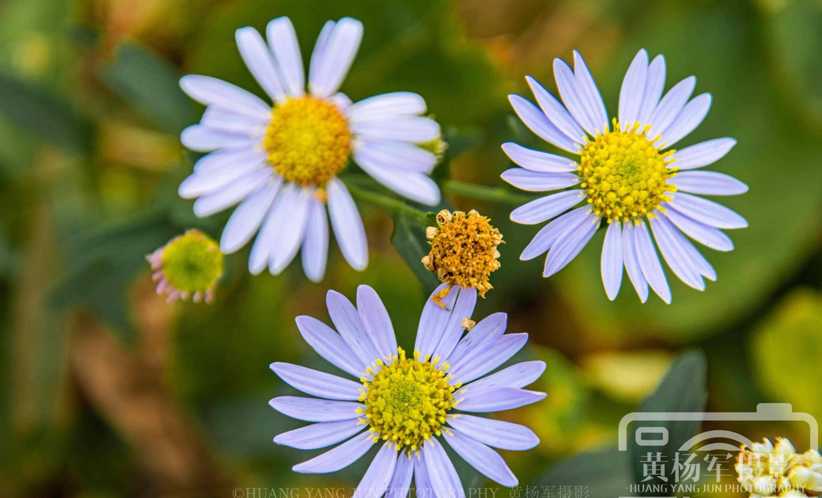 Mayowa davies tweet media