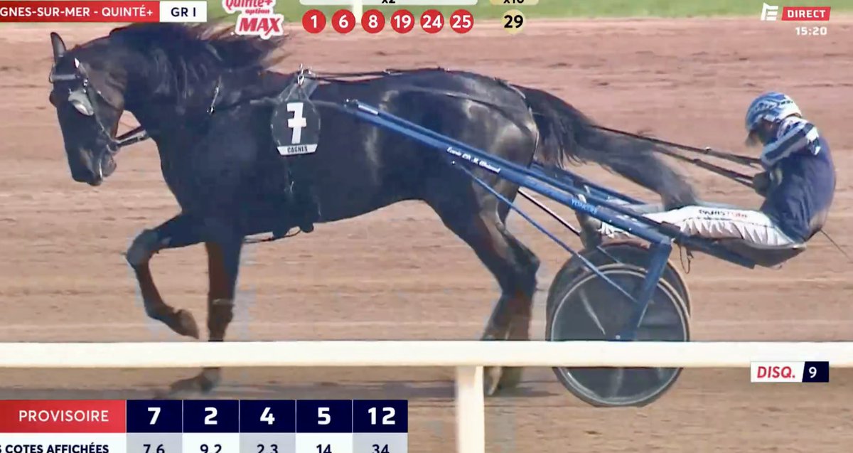 Les Trotteurs Ma Passion tweet media