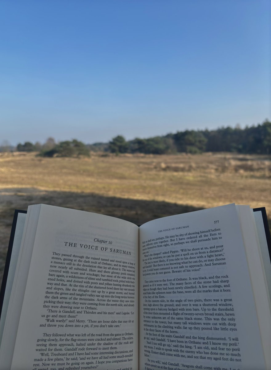 noé 🦌 tweet media