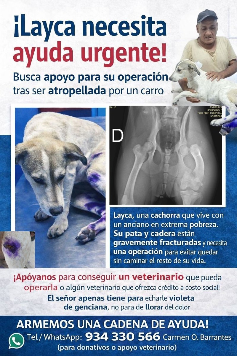 Cari Tortas tweet media