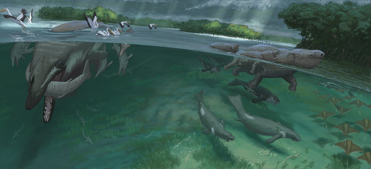 Joschua Knüppe tweet media