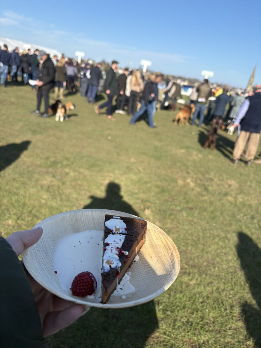 Megan Dobbin tweet media