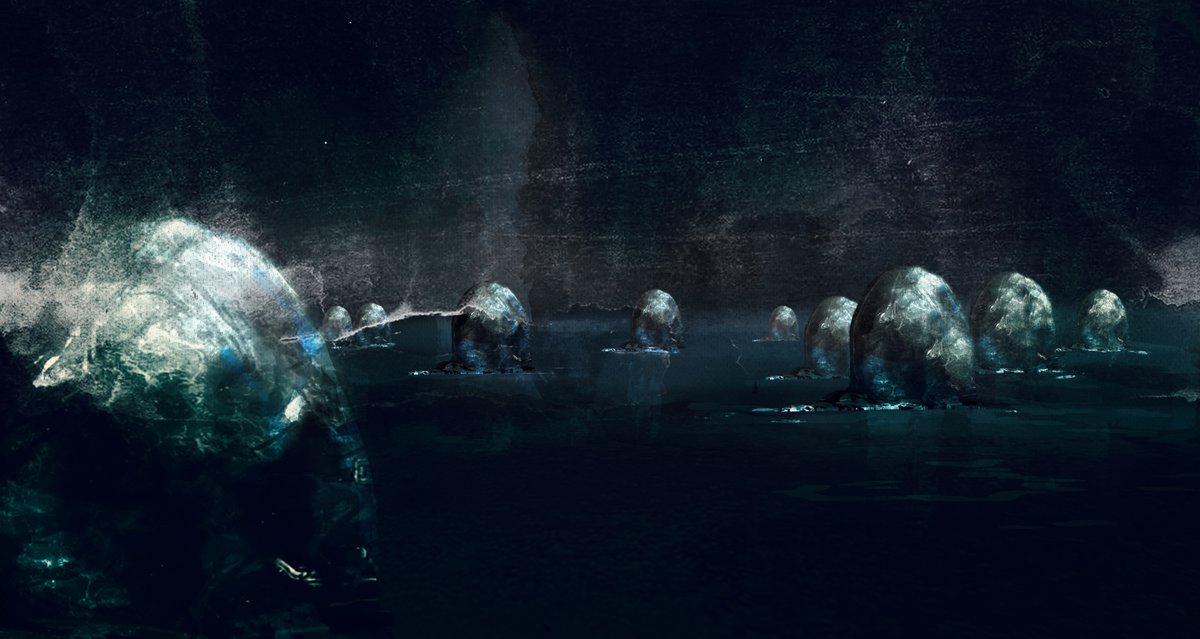 Declan Loftus tweet media